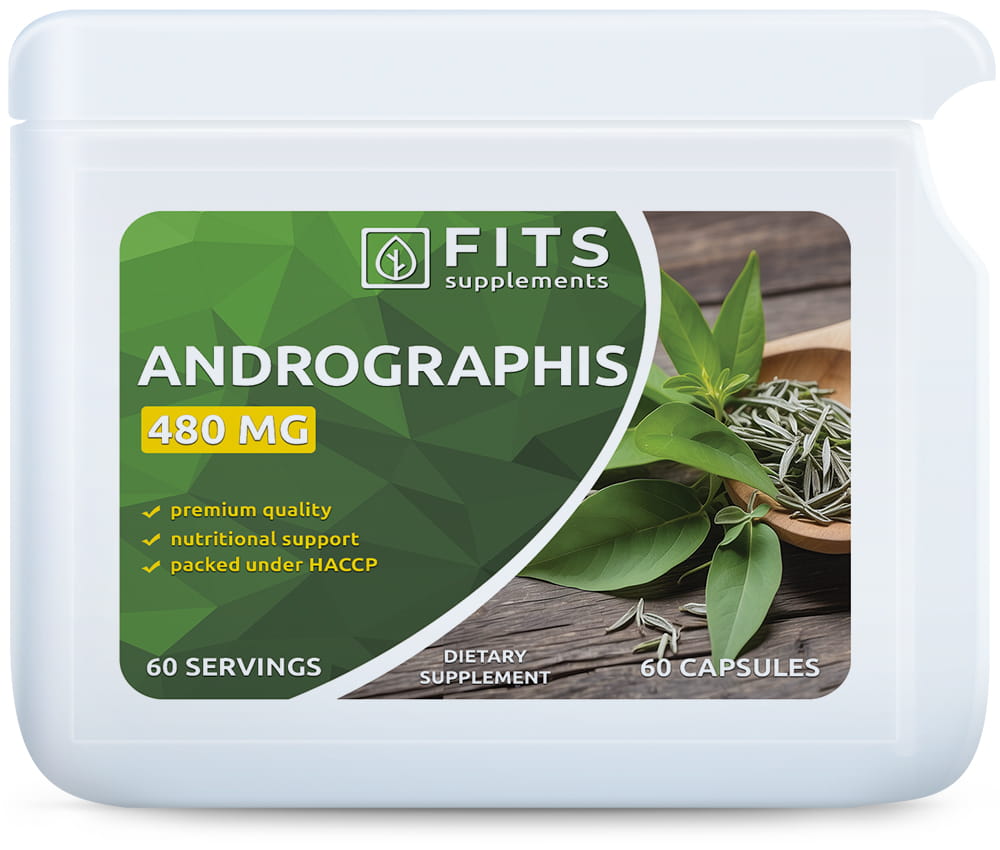 Extrait d'Andrographis 480 mg 60 capsules